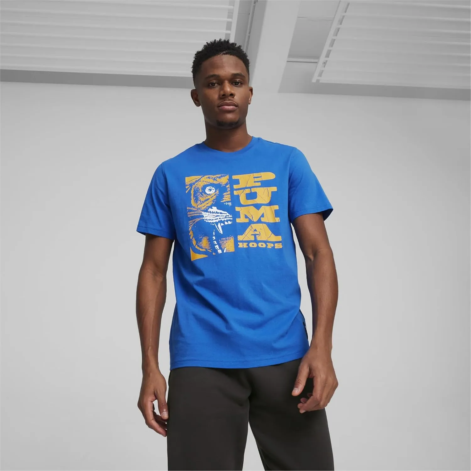 PUMA Men's Graphic T-Shirt (Available in Big and Tall Sizes)